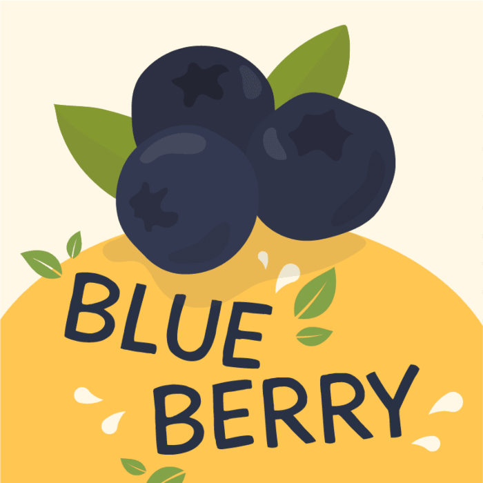 Blueberry Regular