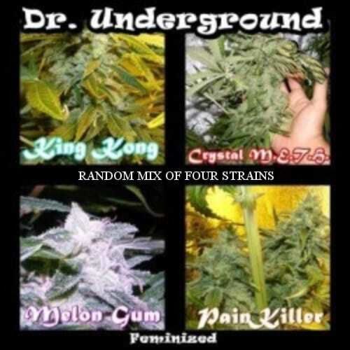 Dr Underground Killer Mix 4