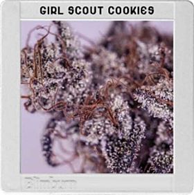 blimburn girl scout cookies