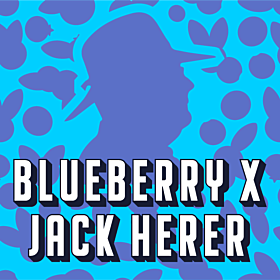 Blueberry x Jack Herer Autoflower