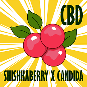 CBD Shishkaberry x Candida 