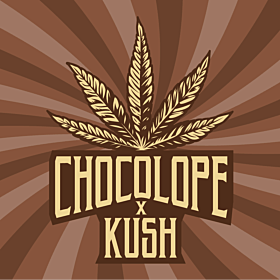 Chocolope x Kush