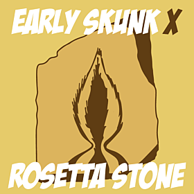 Skunk x Rosetta Stone