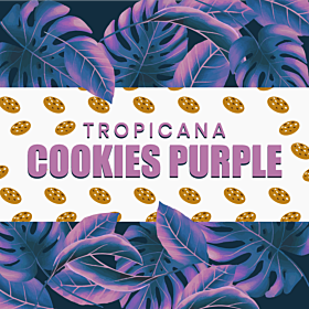 Tropicana Cookies Purple