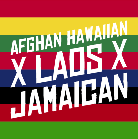 Afghan Hawaiian x Laos x Jamaican Feminized Seeds