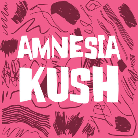 Amnesia Kush Feminized Seeds