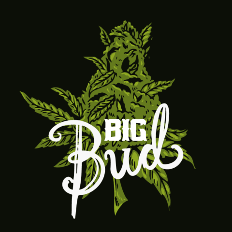 Big Bud Feminized Seeds