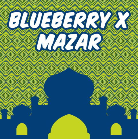 Blueberry x Mazar Autoflower Seeds