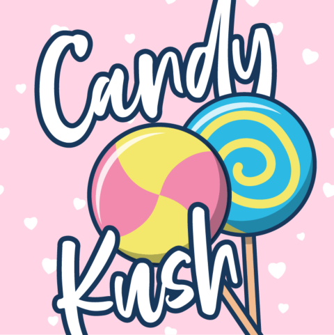 Candy Kush Feminized