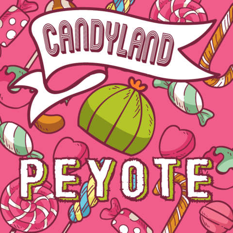 Candyland Peyote Feminized