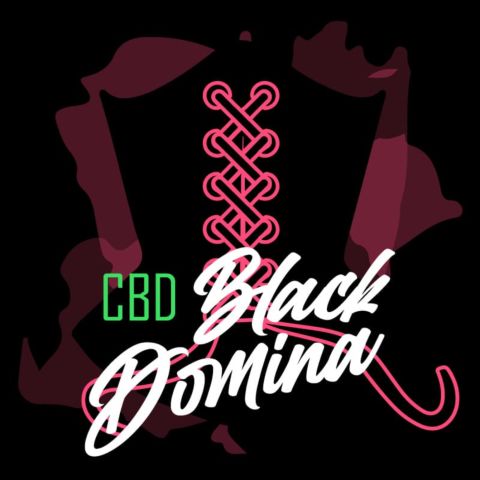 CBD Black Domina Feminized