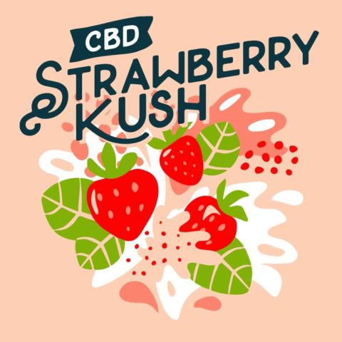 CBD Strawberry Kush Feminized