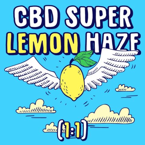 CBD Super Lemon Haze (1:1) Feminized Seeds