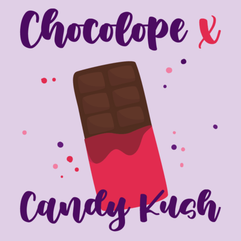 Chocolope x Candy Kush Feminized Seeds