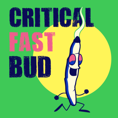 Critical Fast Bud Autoflower