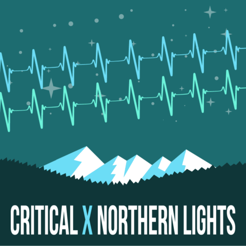 Critical x Northern Lights Autoflower