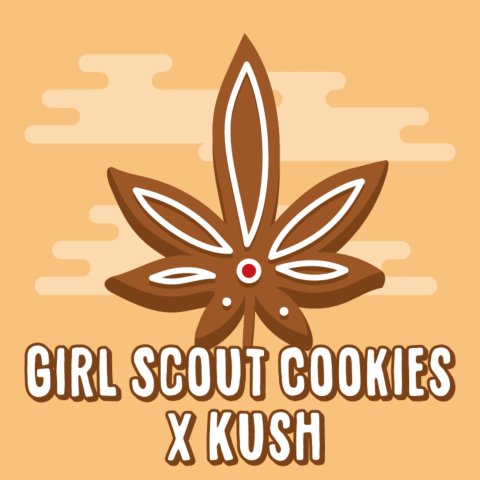 Girl Scout Cookies x Kush Feminized Seeds