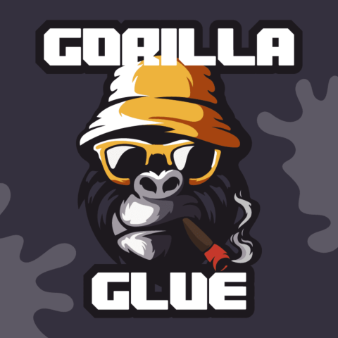 Gorilla Glue Regular Seeds