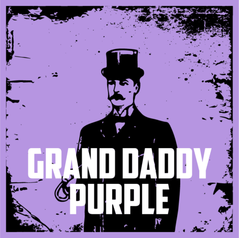Grandaddy Purple Regular Seeds