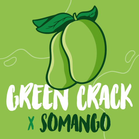 Green Crack x Somango Feminized