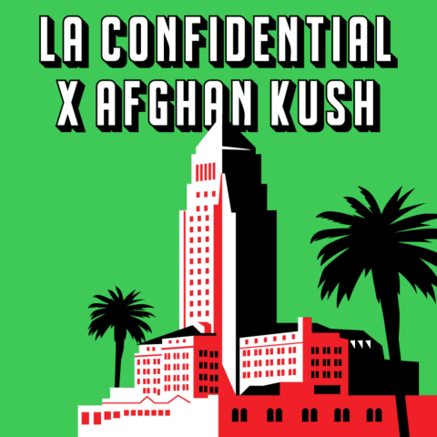 LA Confidential x Afghan Kush Feminized Seeds