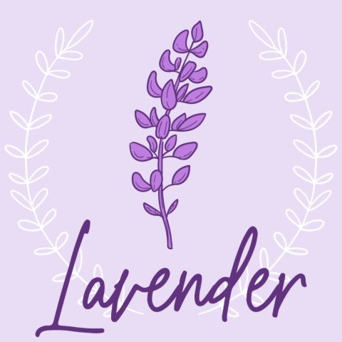 Lavender Feminized