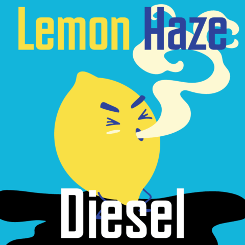 Lemon Haze Diesel Feminized Seeds