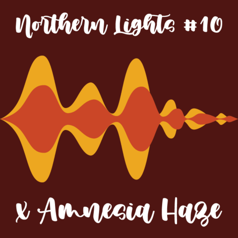 Northern Lights #10 x Amnesia Haze Feminized
