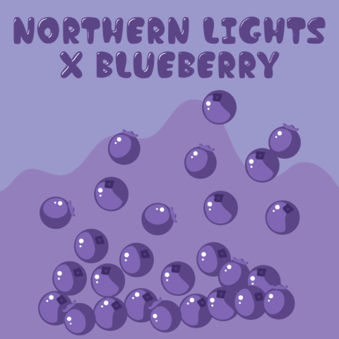 Northern Lights x Blueberry Autoflower Seeds