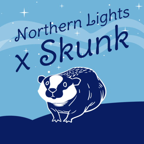 Skunk x Northern Lights Fast Version