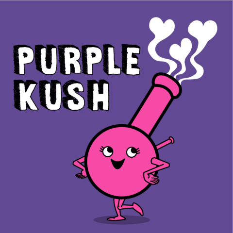 Purple Kush Feminized