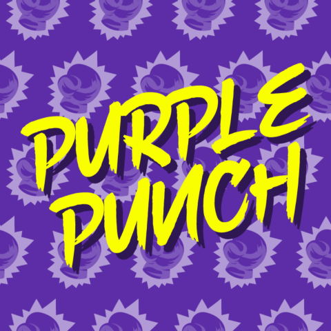 Purple Punch Feminized Seeds
