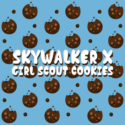 Skywalker x Girl Scout Cookies Feminized