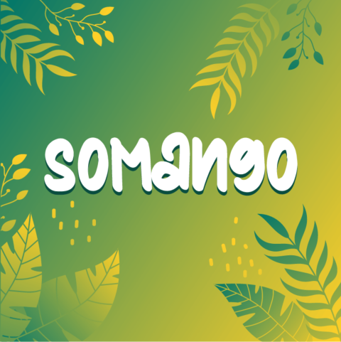 Somango Feminized Seeds