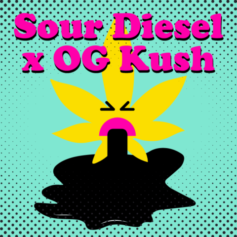 Sour Diesel x OG Kush Feminized Seeds