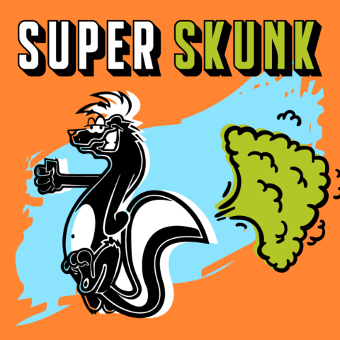 Super Skunk Autoflower Seeds