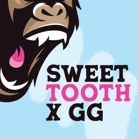 Sweet Tooth x GG Feminized Seeds