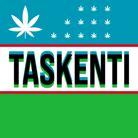 Taskenti Feminized Seeds