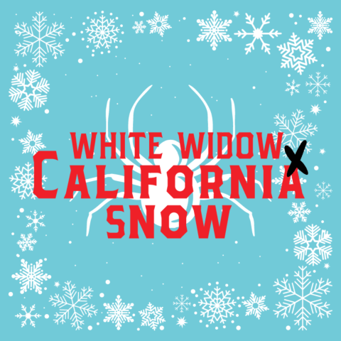 White Widow x California Snow Autoflower Seeds