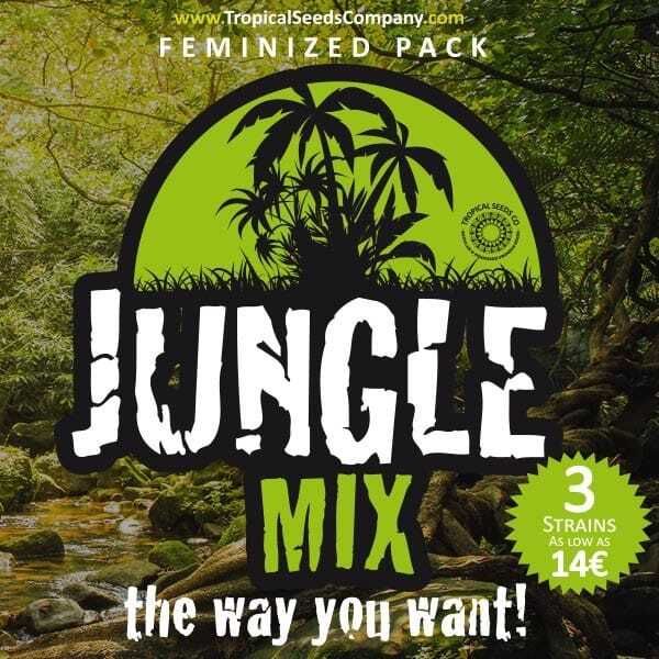 Tropicalseedscompany - Jungle Mix - Feminized