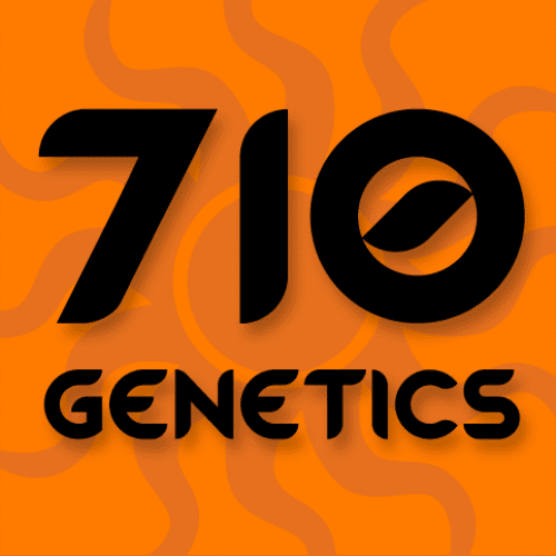 710 Genetics Seedbank White Lady OG Feminised
