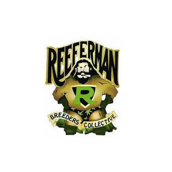 Reeferman Seeds Willie Nelson Regular Seeds