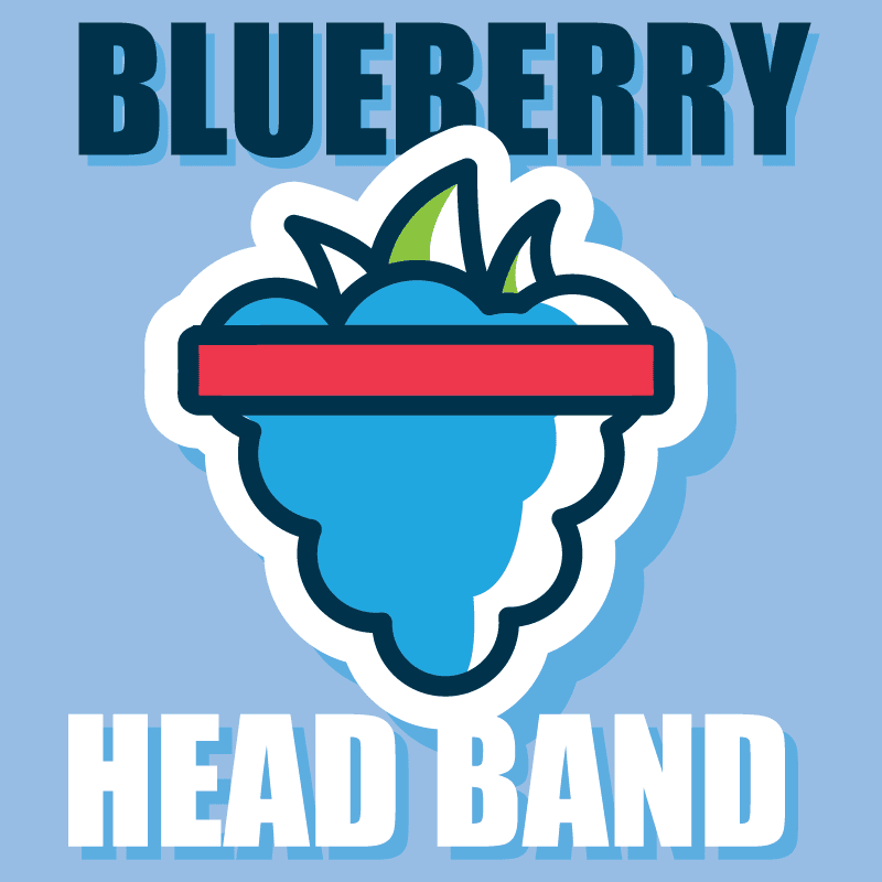 Blueberry Head Band 