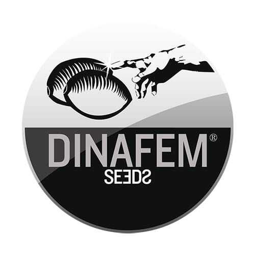 Dinafem seedbank Coleccionista #3 Feminised