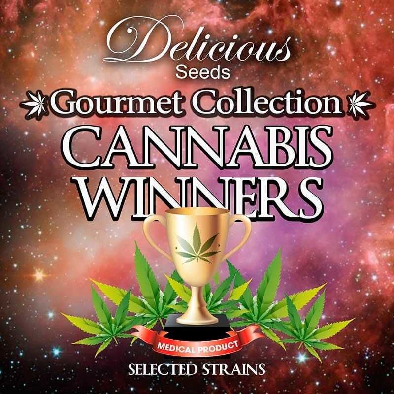 delicious gourmet cannabis winners