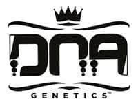 DNA Genetics Mix Pack of Female Cannabis Seeds