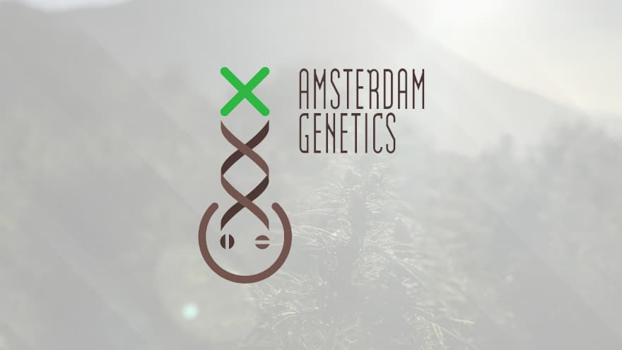 https://media.seedsupreme.com/media/codazon_cache/brand/1200x/codazon/brand/Covers/amsterdam-genetics-seedbank-cover.jpg