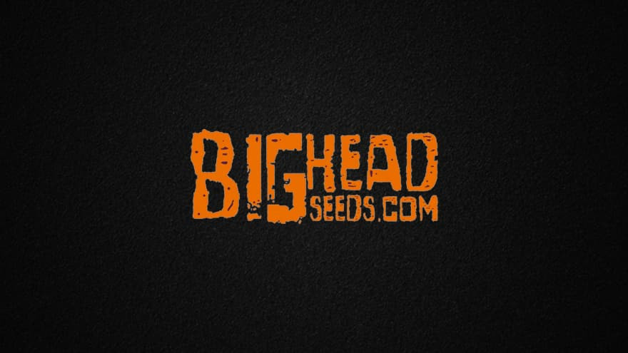 https://media.seedsupreme.com/media/codazon_cache/brand/1200x/codazon/brand/Covers/big-head-seeds-seedbank-cover.jpg