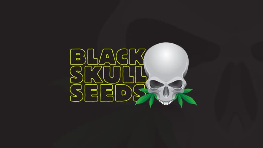 https://media.seedsupreme.com/media/codazon_cache/brand/1200x/codazon/brand/Covers/black-skull-seeds-seedbank-cover.jpg