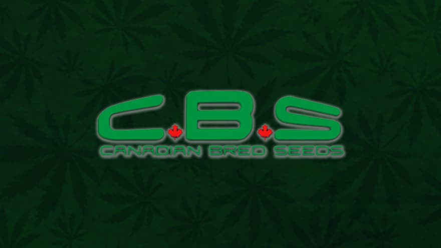 https://media.seedsupreme.com/media/codazon_cache/brand/1200x/codazon/brand/Covers/canadian-bred-seeds-seedbank-cover.jpg